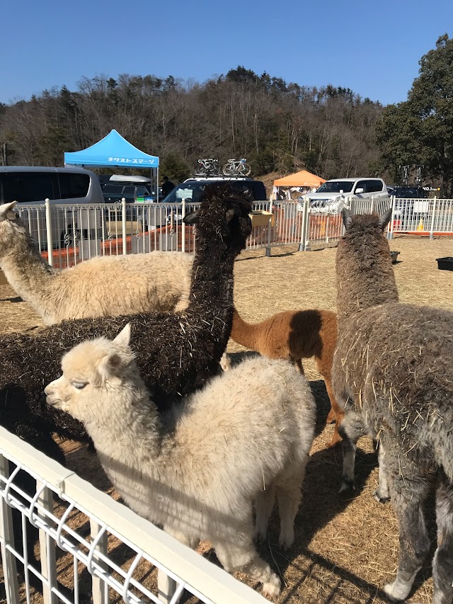ローズゴルフクラブ - Photo 1