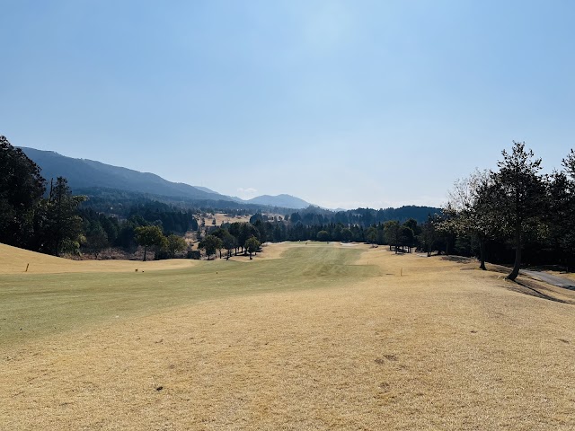ルート２５ゴルフクラブ - Photo 3