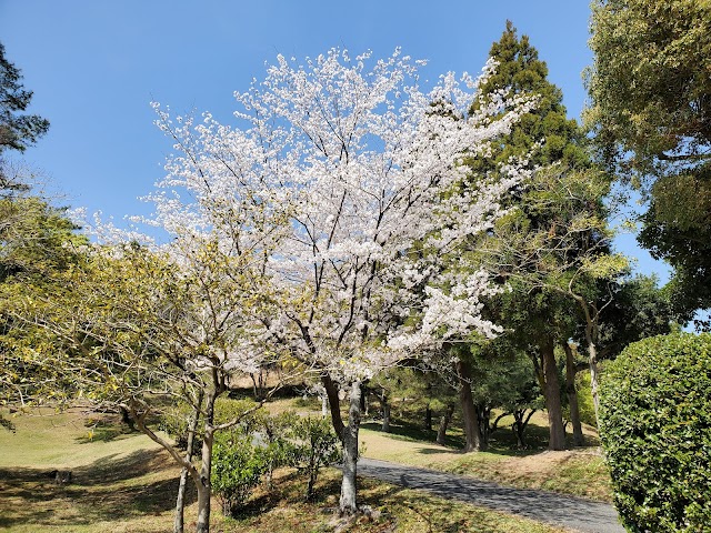 佐賀カントリー倶楽部 - Photo 2