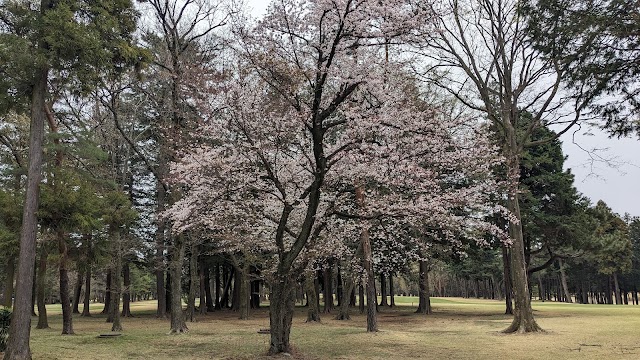 相模原ゴルフクラブ - Photo 3