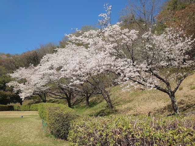 相模野カントリー倶楽部 - Photo 3