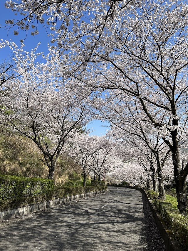 坂出カントリークラブ - Photo 6