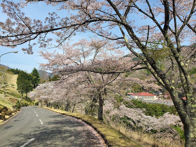 桜ヒルズゴルフクラブ - Photo 3