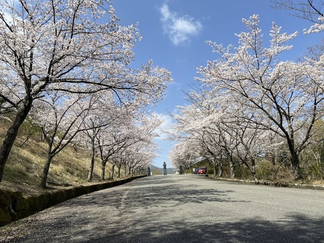 サンピアゴルフクラブ - Photo 2