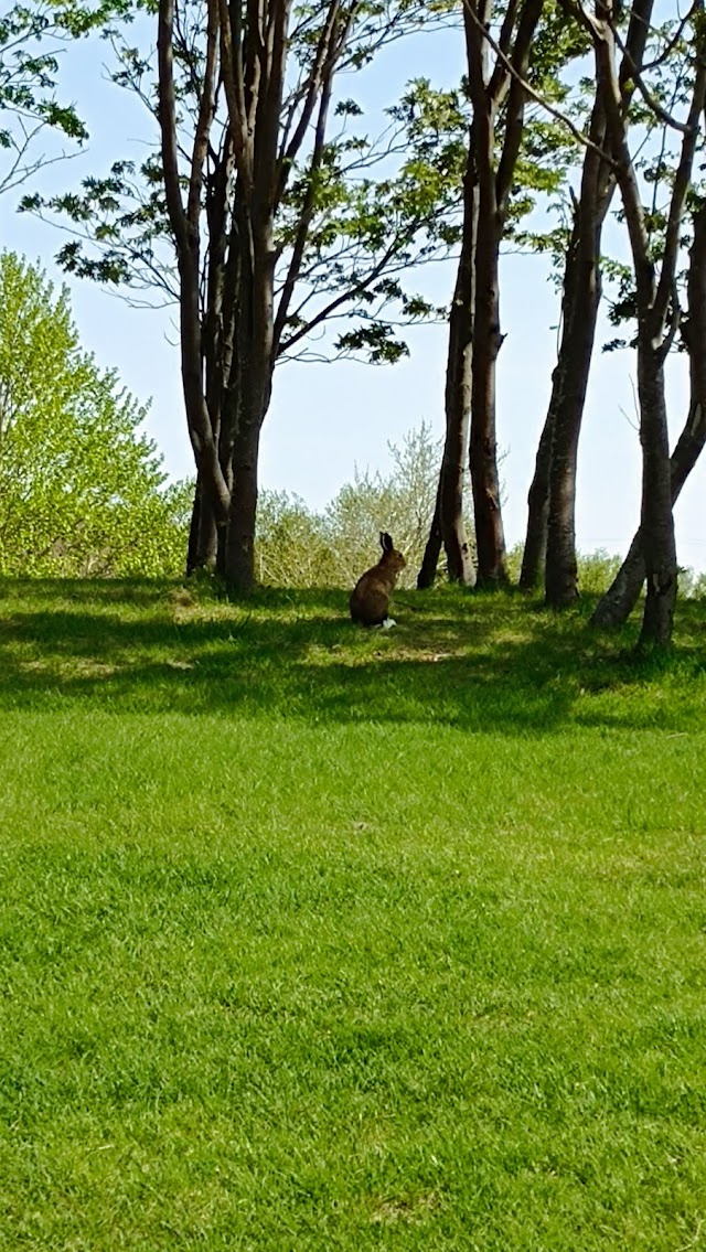 Sapporo Scott Hill Golf Club - Photo 6