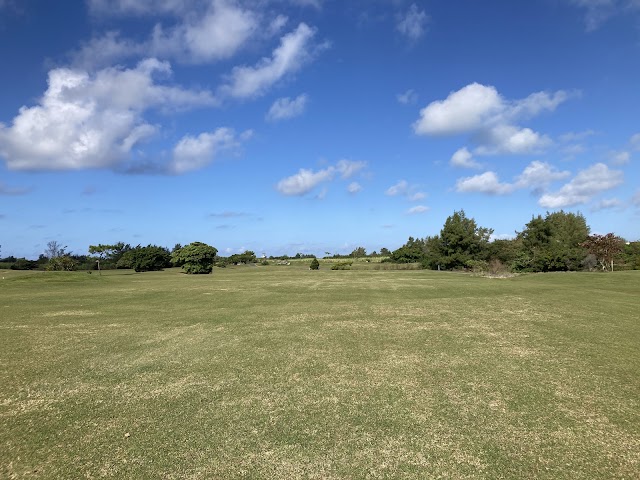 サシバリンクス伊良部 - Photo 8