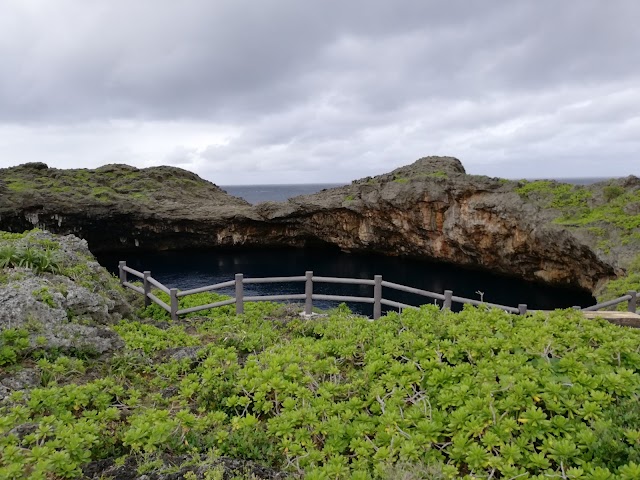 サシバリンクス伊良部 - Photo 2