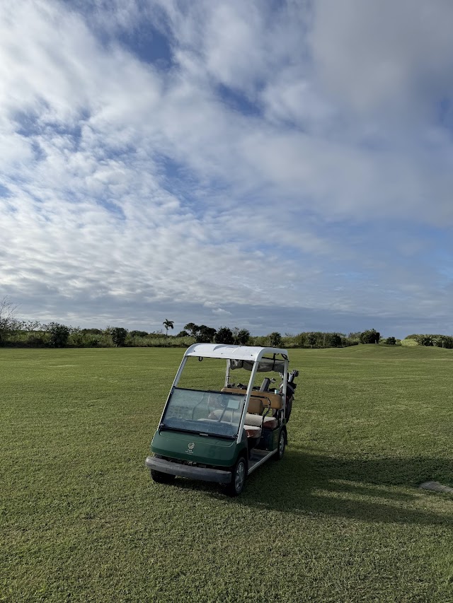 サシバリンクス伊良部 - Photo 4