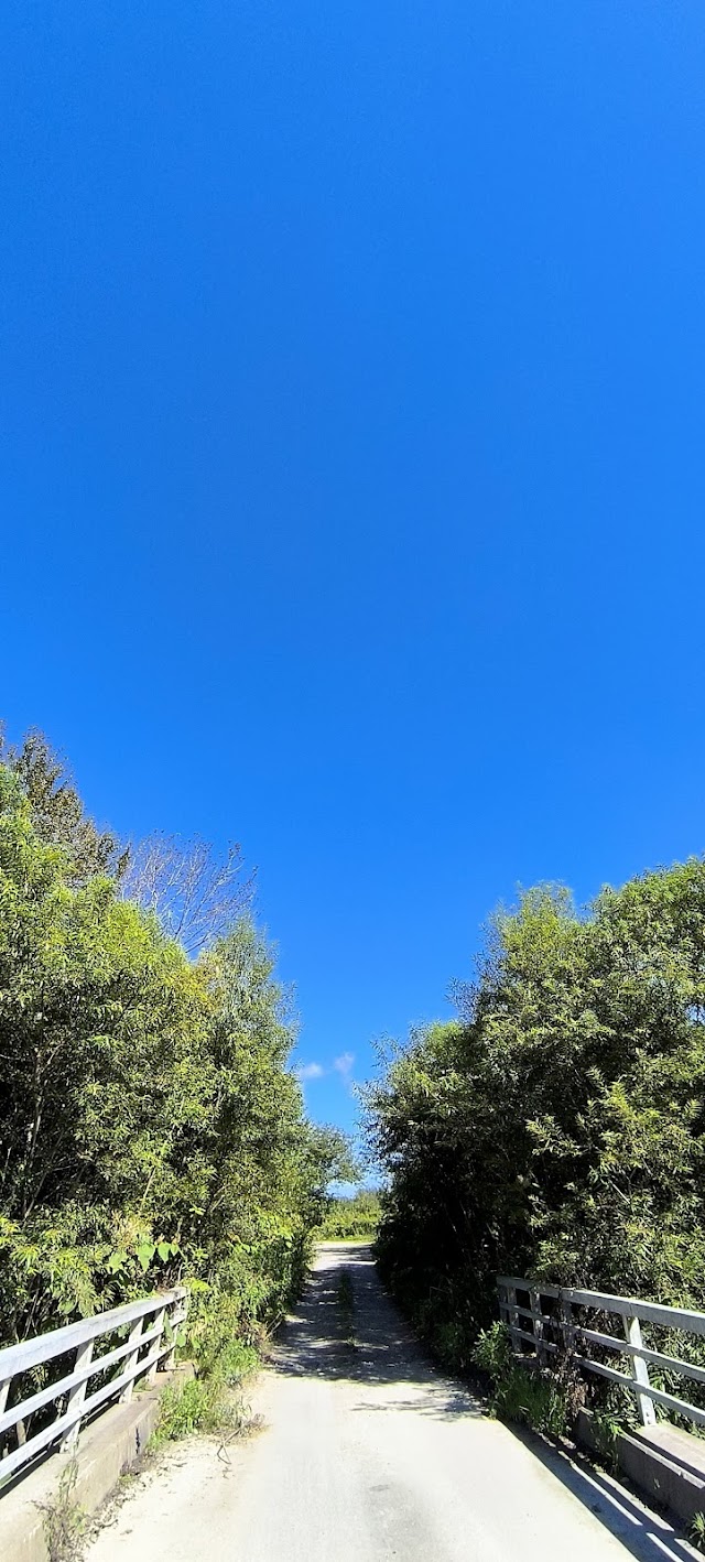 札内川ゴルフ場 - Photo 4