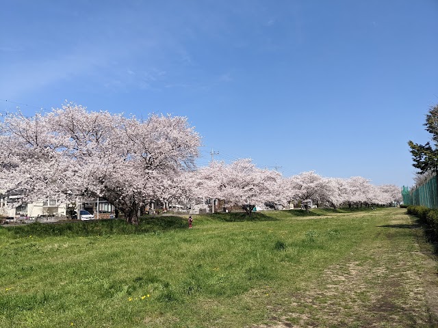 狭山リバーサイドゴルフコース  - Photo 5