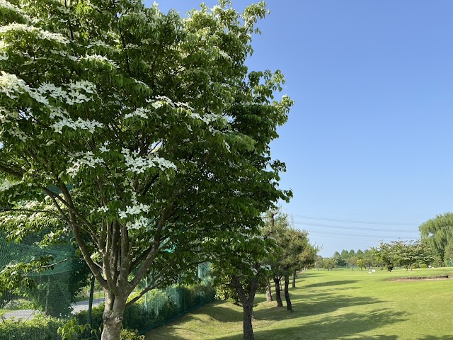 狭山リバーサイドゴルフコース  - Photo 9