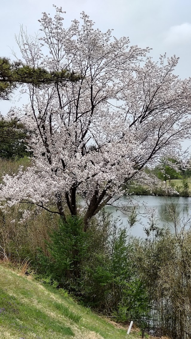千羽平ゴルフクラブ - Photo 3