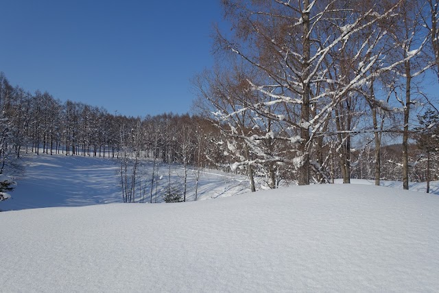Shibetsu Doyukai Country Club - Photo 10