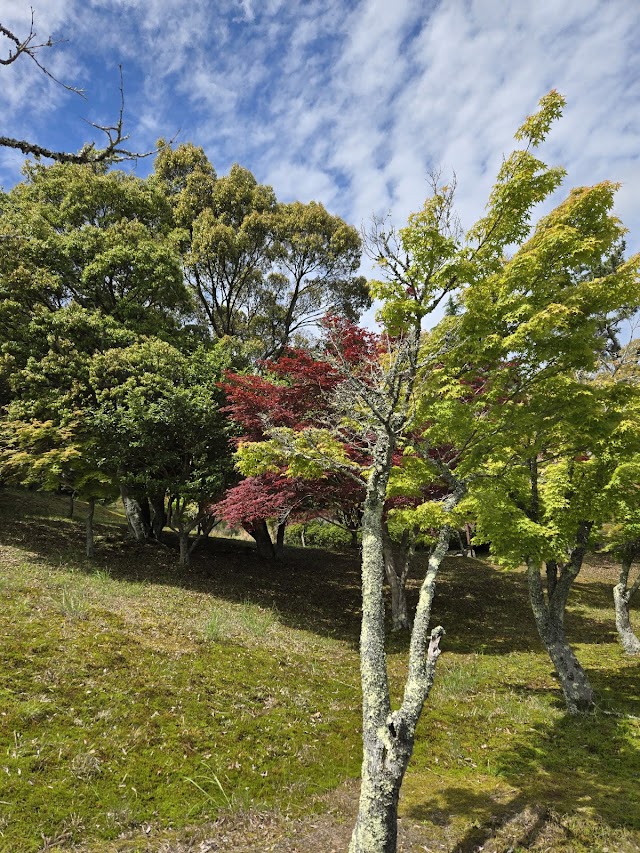 信楽カントリー倶楽部　田代コース - Photo 7