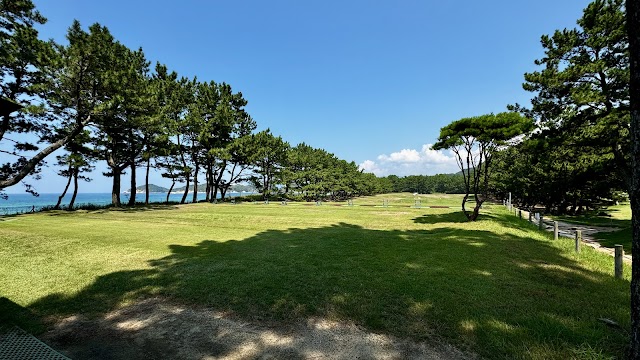  - Photo 2