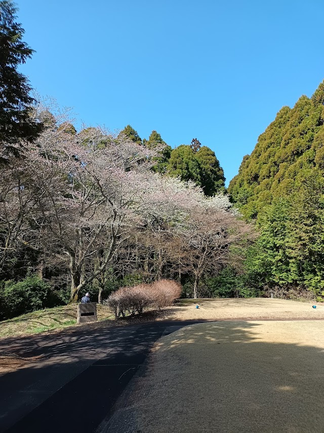 新千葉カントリー倶楽部 - Photo 6