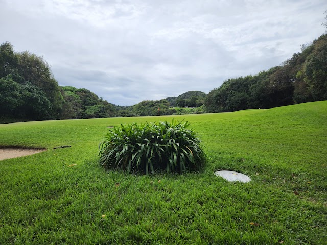 新南愛知カントリークラブ　美浜コース - Photo 5