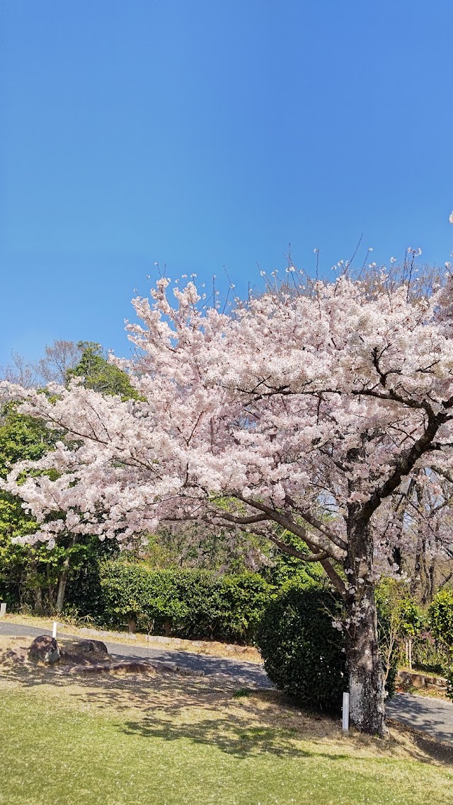 新岡山ゴルフクラブ - Photo 6
