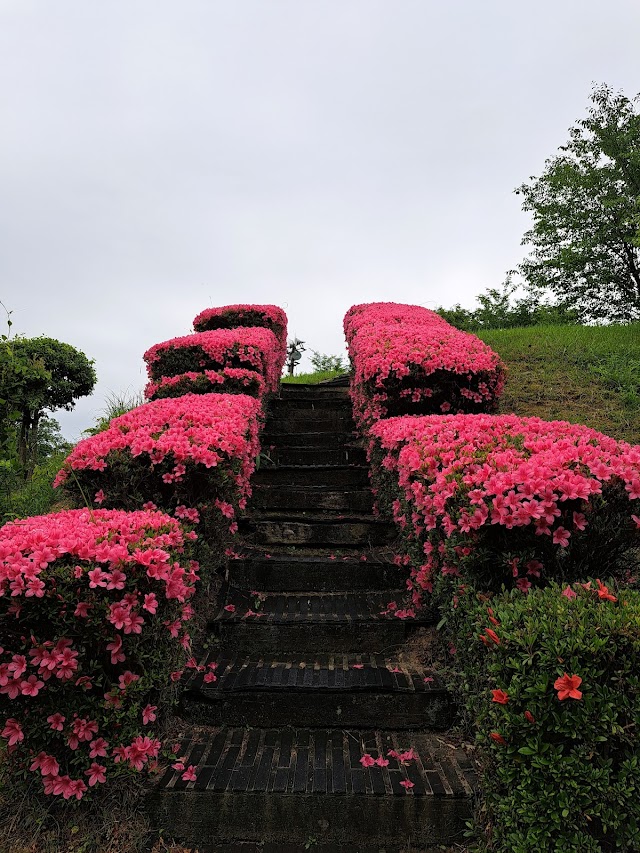 新岡山ゴルフクラブ - Photo 5