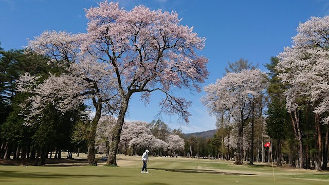 信州伊那国際ゴルフクラブ - Photo 6