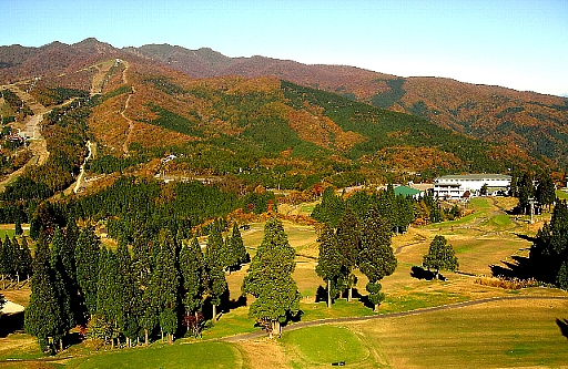白鳥高原カントリークラブ - Photo 8