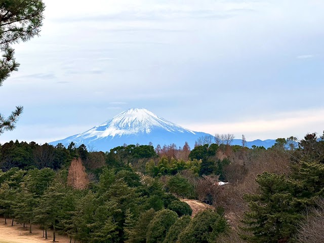 湘南カントリークラブ - Photo 8
