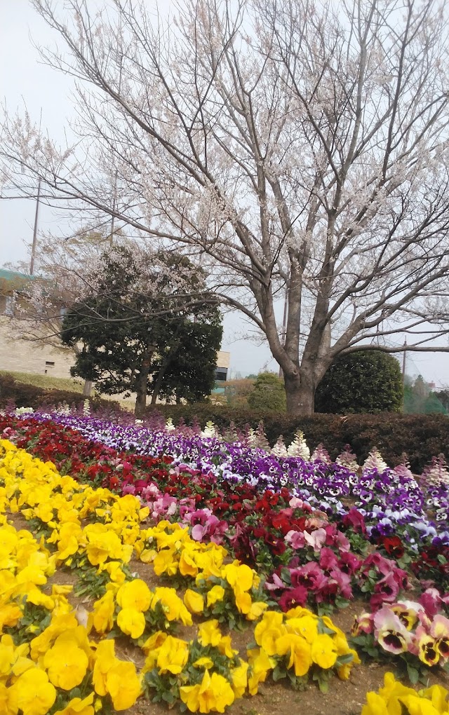 湘南カントリークラブ - Photo 9
