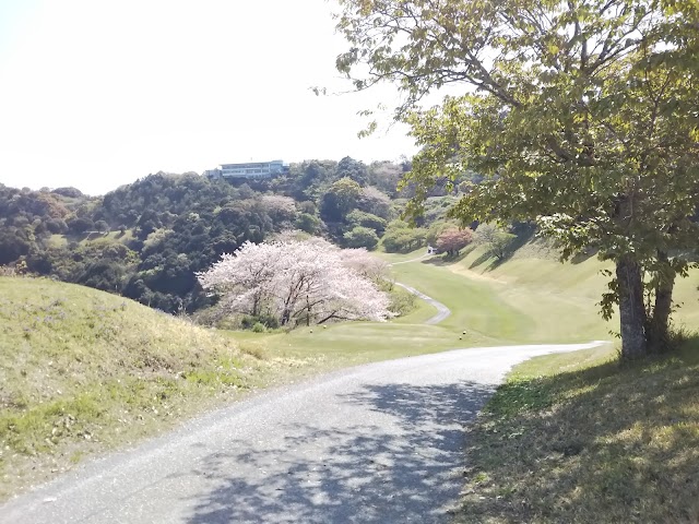 スカイベイゴルフクラブ - Photo 6