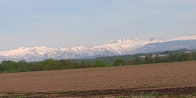 空知川ラベンダーの森ゴルフコース - Photo 7