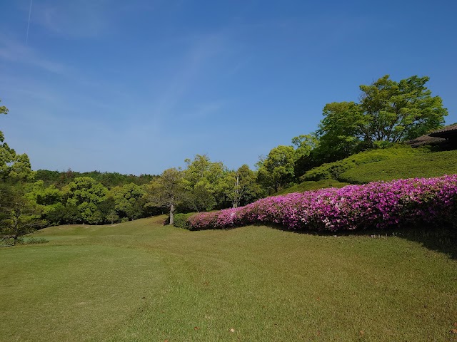 スプリングフィールドゴルフクラブ - Photo 3