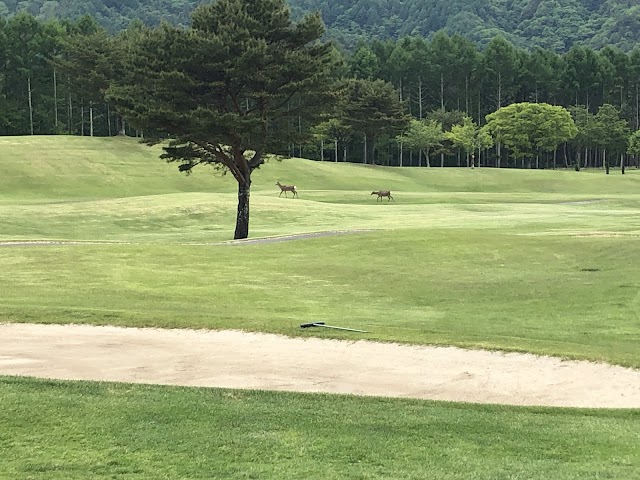 サニーカントリークラブ - Photo 4