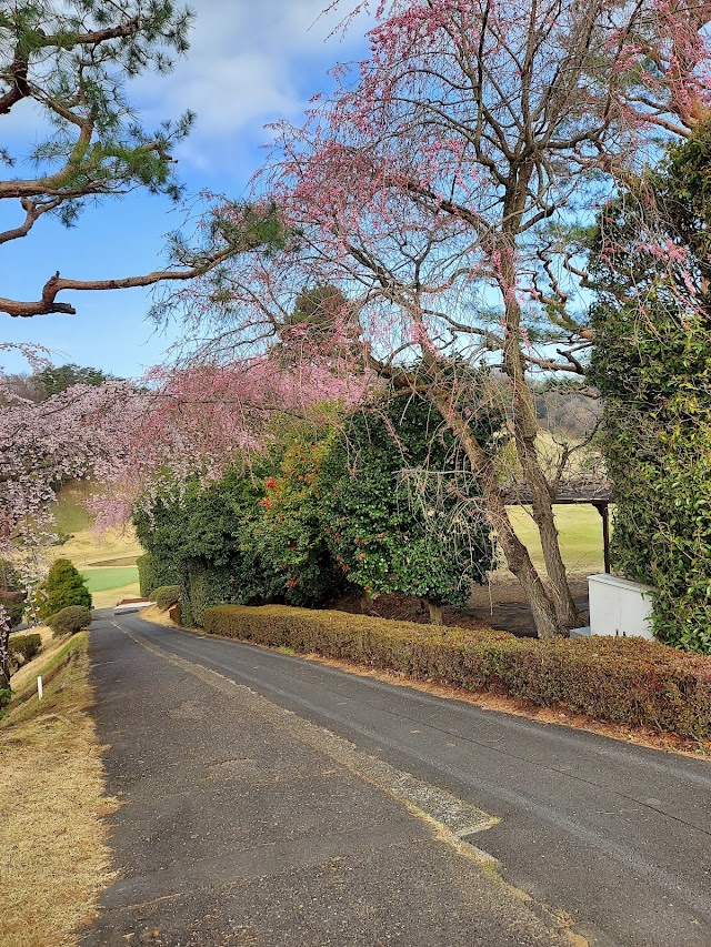 立川国際カントリー倶楽部 - Photo 6