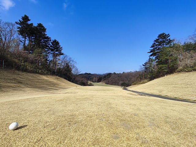 たいわゴルフクラブ - Photo 4