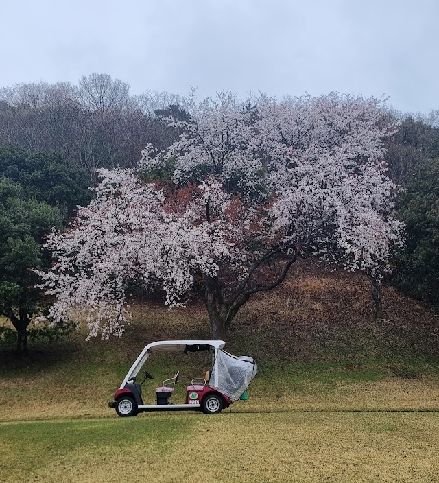 タカガワ東徳島ゴルフ倶楽部 - Photo 7