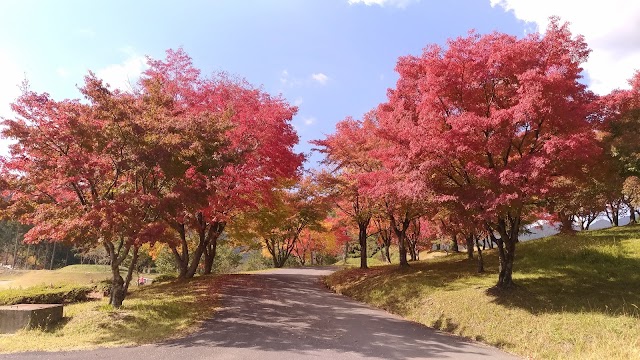 高原ゴルフ倶楽部 - Photo 1
