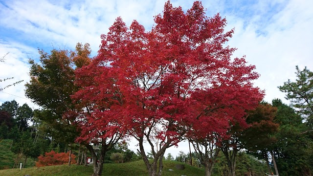 高原ゴルフ倶楽部 - Photo 3