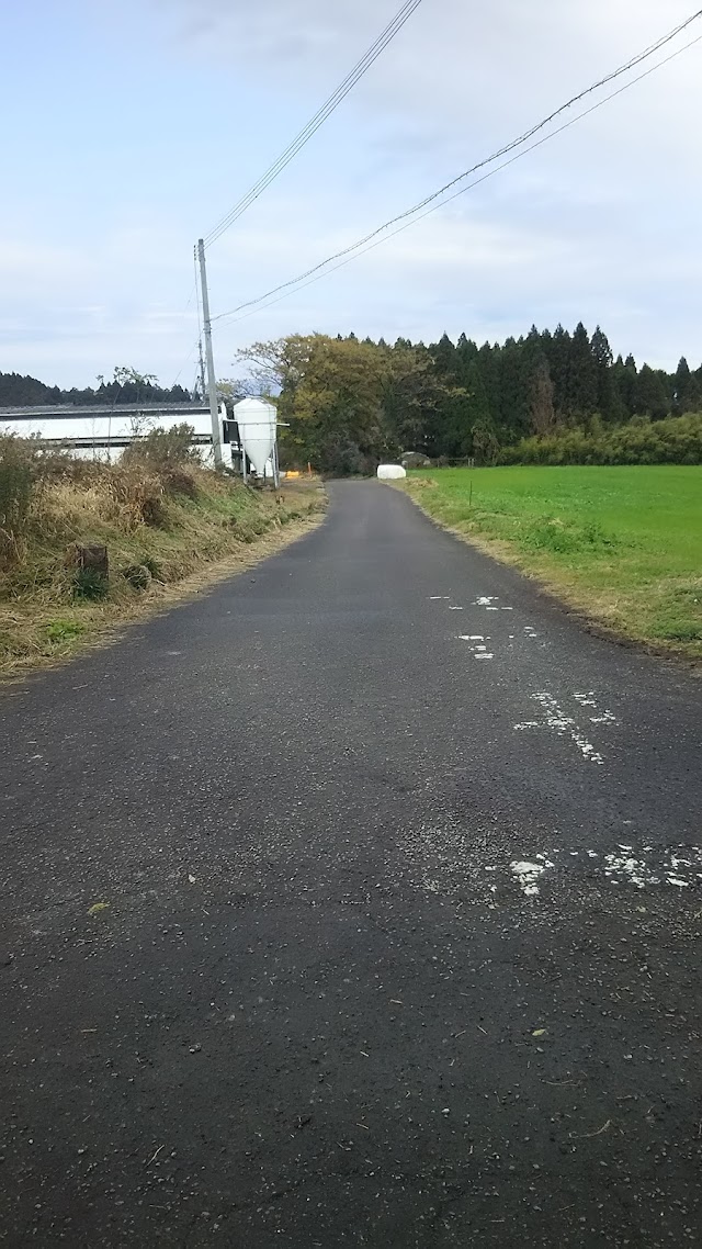 たかはるゴルフクラブ - Photo 7