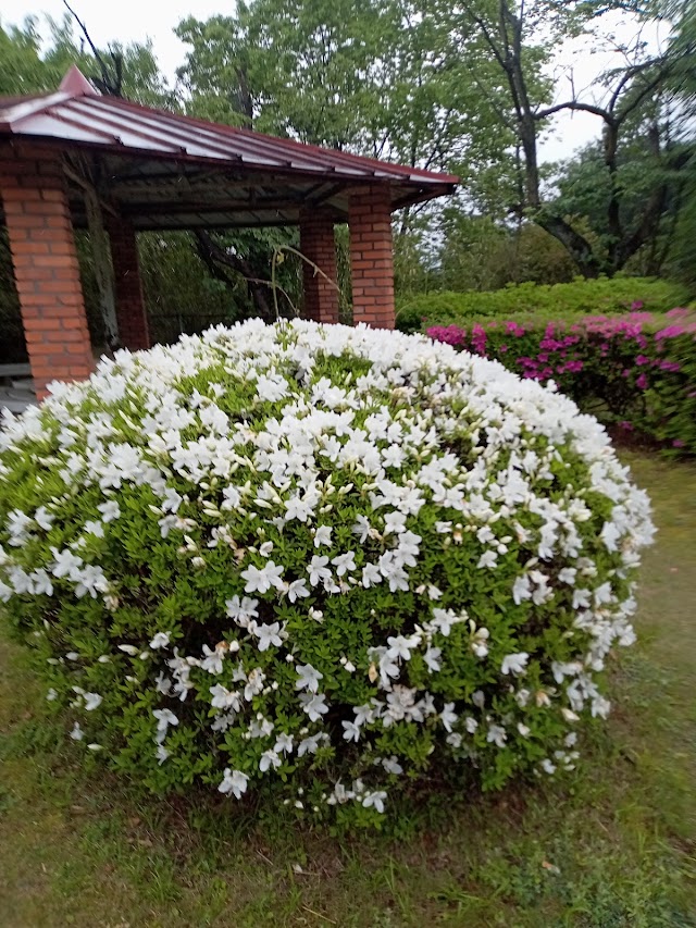 滝の宮カントリークラブ - Photo 6