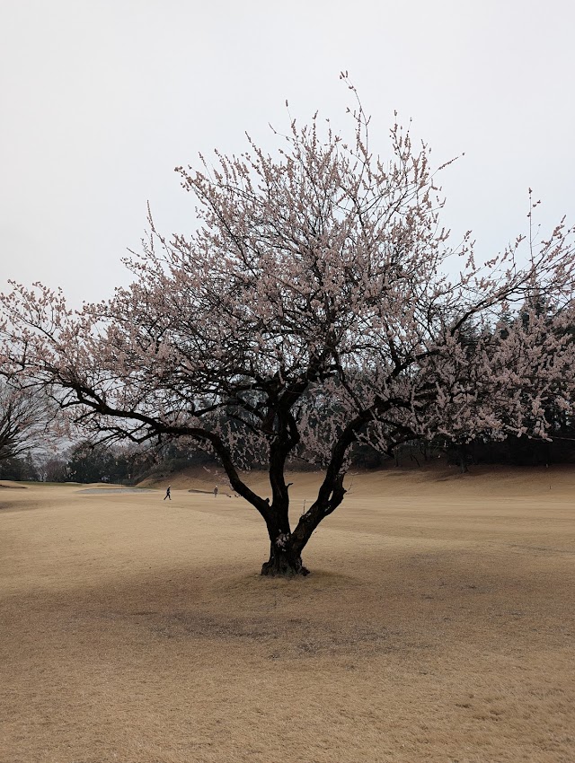 多摩カントリークラブ - Photo 1