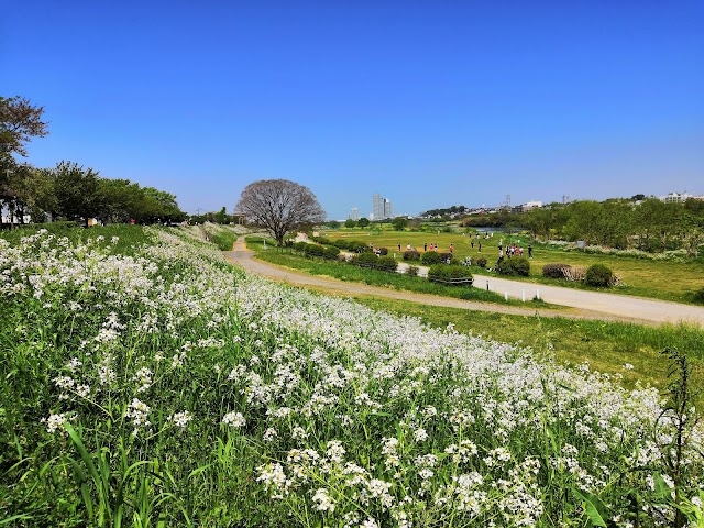 多摩川ゴルフ倶楽部 - Photo 6