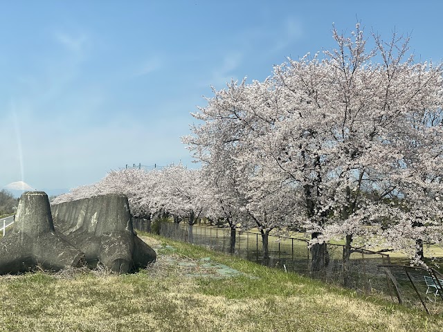 玉村公園ゴルフ倶楽部 - Photo 4