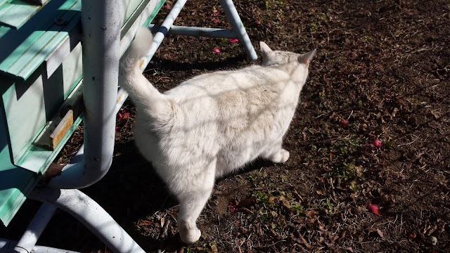 玉村公園ゴルフ倶楽部 - Photo 5