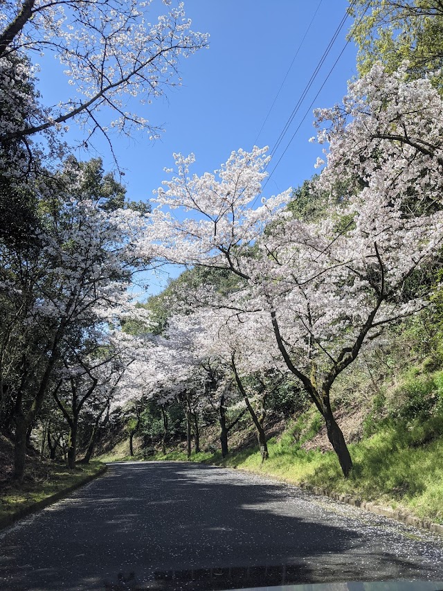 玉名カントリークラブ - Photo 1