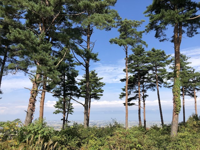 棚山ゴルフ倶楽部 - Photo 4