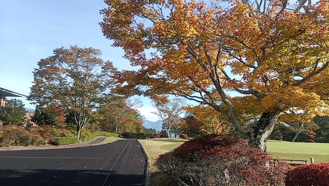 立科ゴルフ倶楽部 - Photo 6