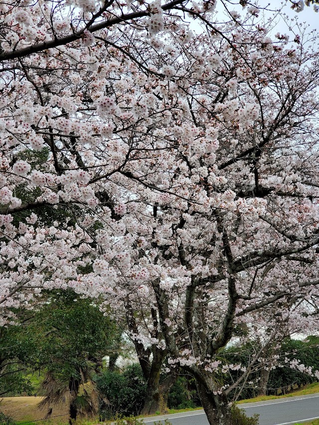 貞宝カントリークラブ - Photo 8