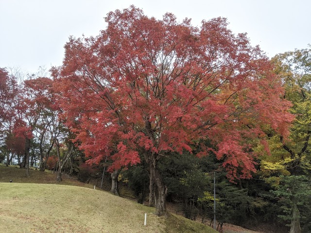 貞宝カントリークラブ - Photo 1