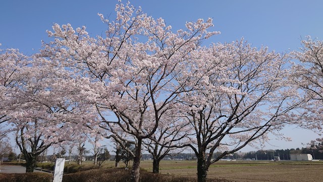 栃木県民ゴルフ場　とちまるゴルフクラブ - Photo 6