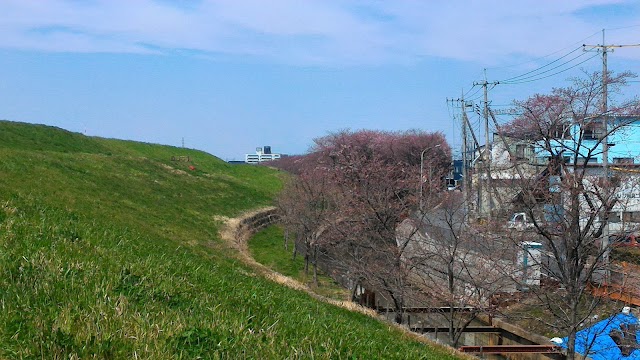 戸田パブリックゴルフコース - Photo 9