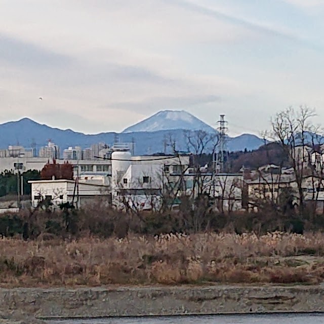 東宝調布スポーツパーク - Photo 2